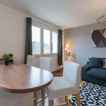Le Cocon Stephanois Appartement
