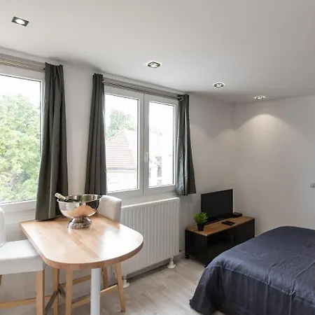Le Cocon Stephanois Appartement Saint-Etienne (Loire)