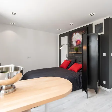 Appartement Le Cocon Stephanois