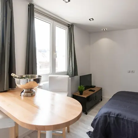 Le Cocon Stephanois Appartement Saint-Etienne (Loire)